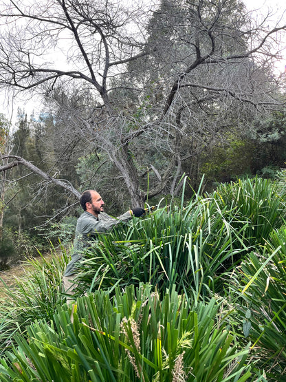 Garden Maintenance